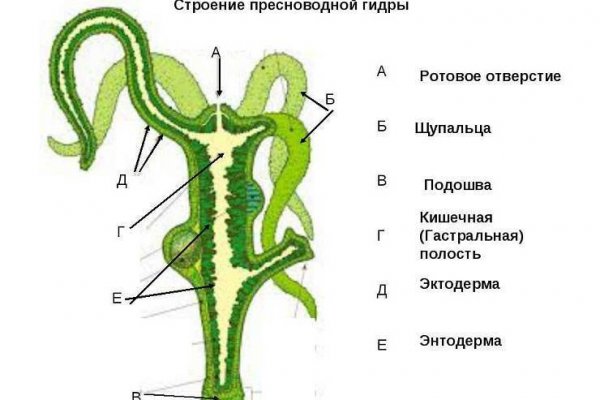 Кракен торговая площадка даркнет